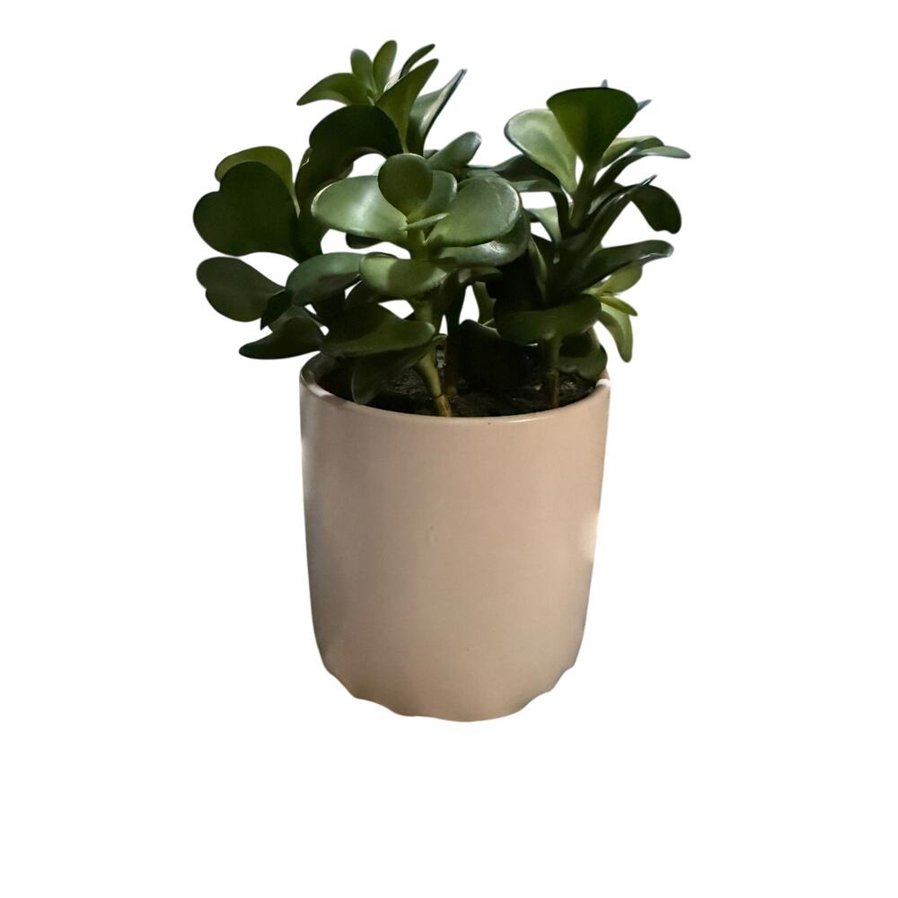 Project 62 Potted Faux Plant